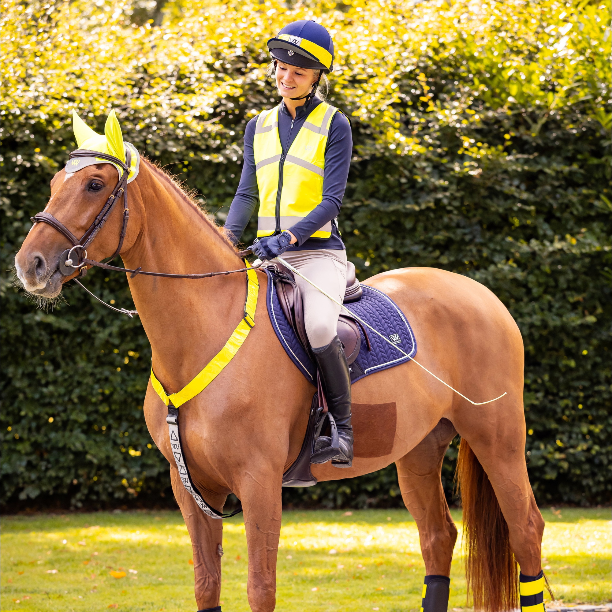 2026 Woof Wear Hi Vis Halsband WS0027 - Hi Vis Gelb